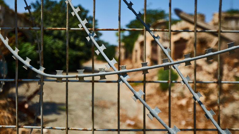 barbed wire cyprus
