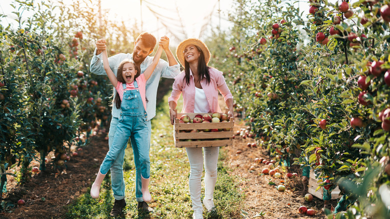 a family in an orchard