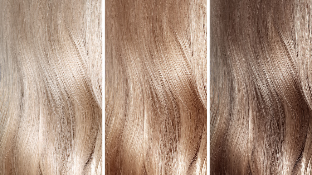 Blonde hair is the result of a genetic mutation - wide 8