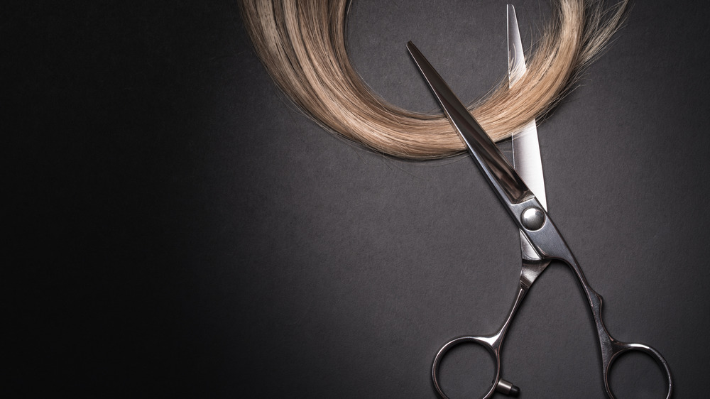 Close up of a lock of blonde hair being cut by a pair of scissors