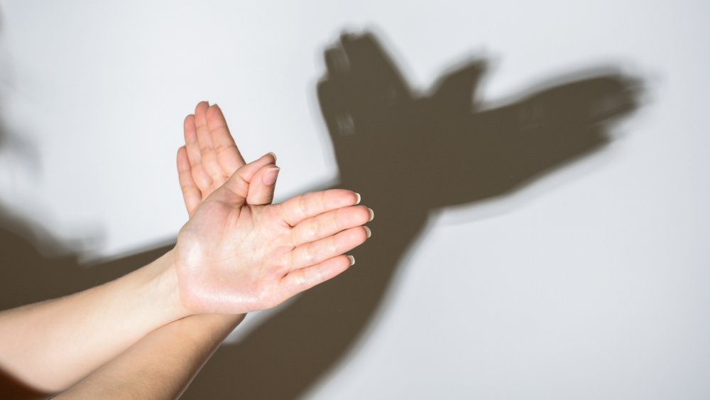 Shadow that looks like a dove but isn't 