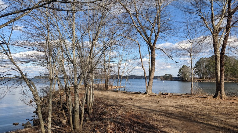 lake lanier in autumn