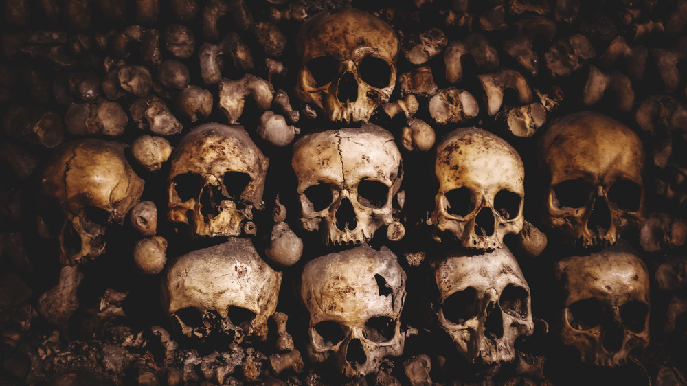 wall in the Paris catacombs