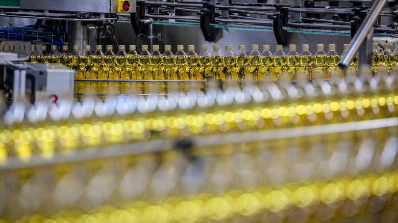 Olive oil bottles in a factory