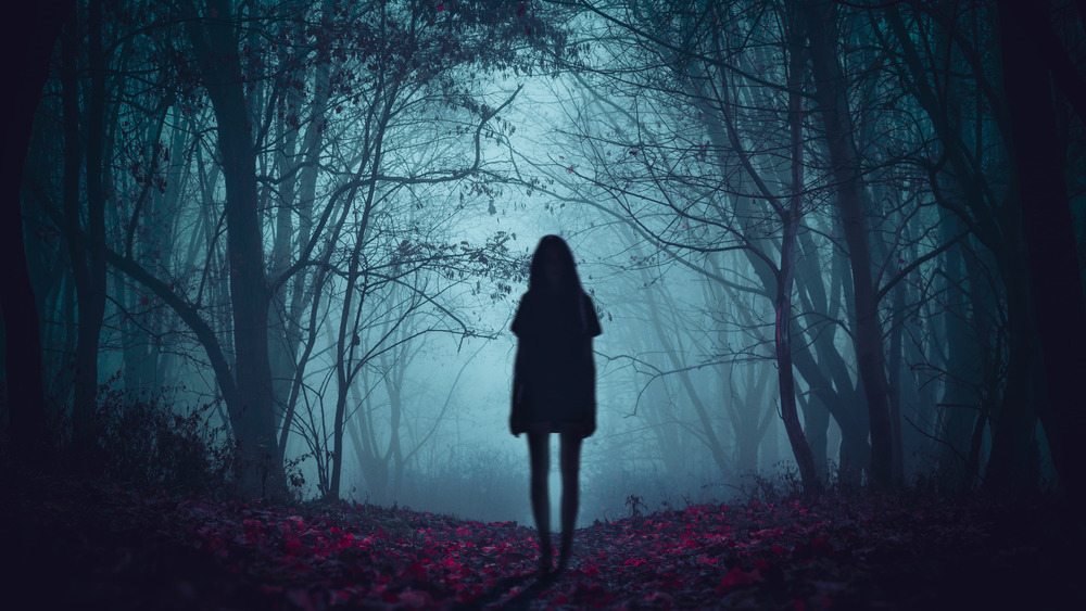 A haunted forest