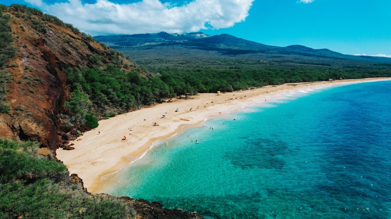 Hawaiian beach