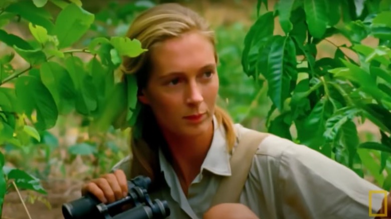 Jane Goodall in her youth