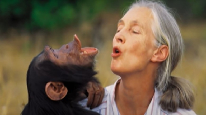 Jane Goodall