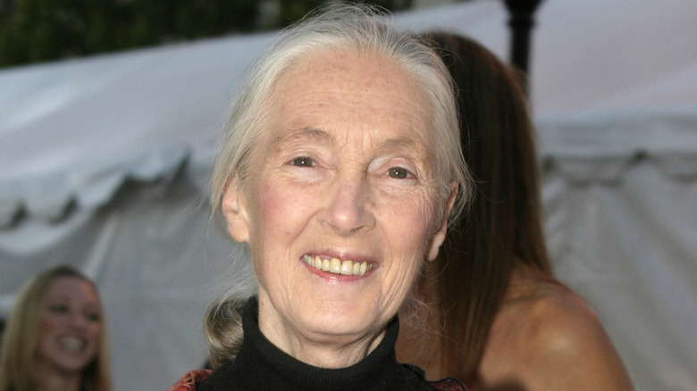 Jane Goodall