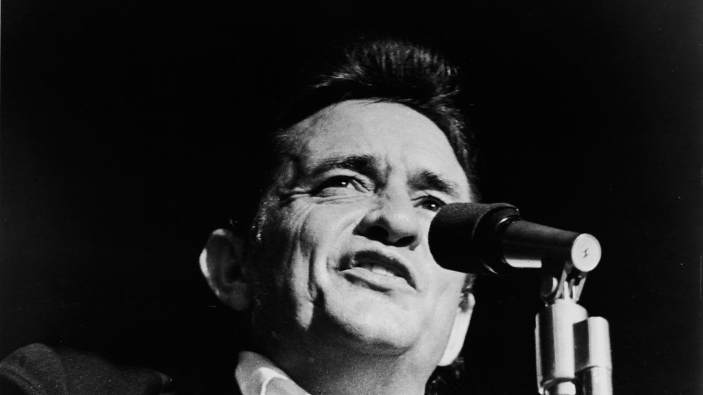 YOU ARE MY SUNSHINE (TRADUÇÃO) - Johnny Cash 