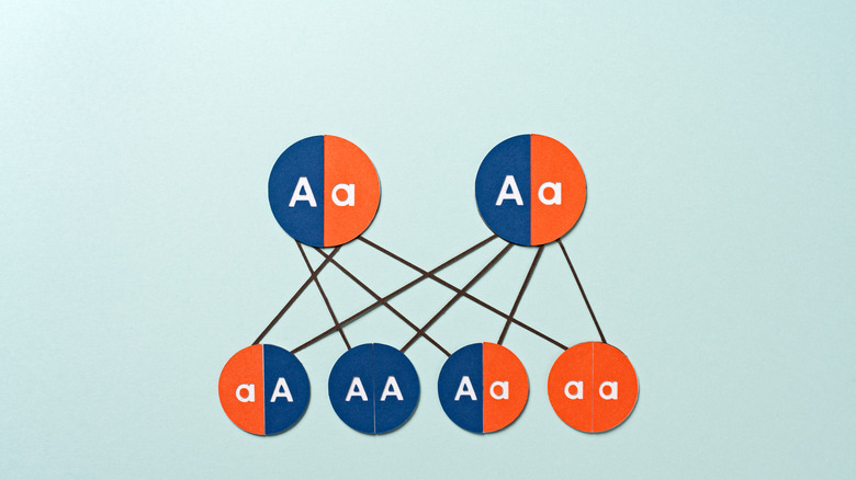 family tree genes drawing