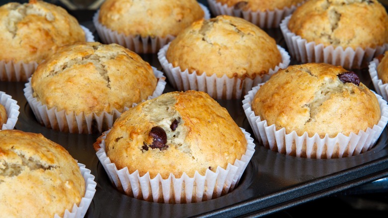 freshly baked muffins in pan