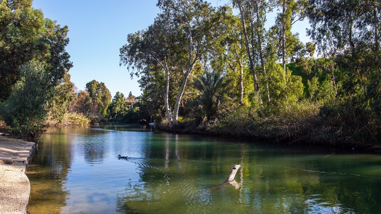 Jordan River with blue skies and trees