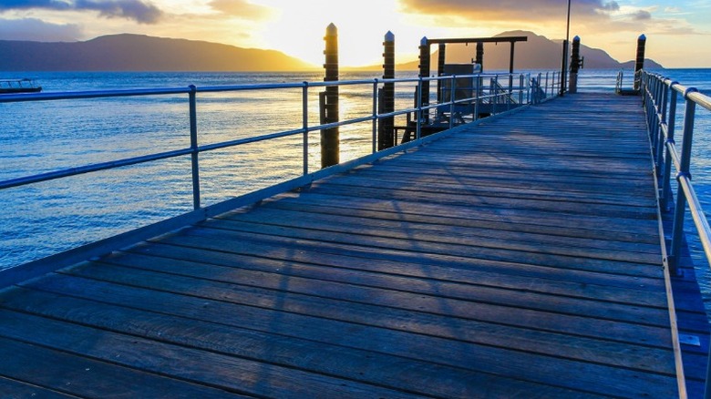 The Fitzroy Dock