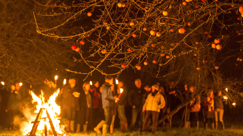 Wassailing