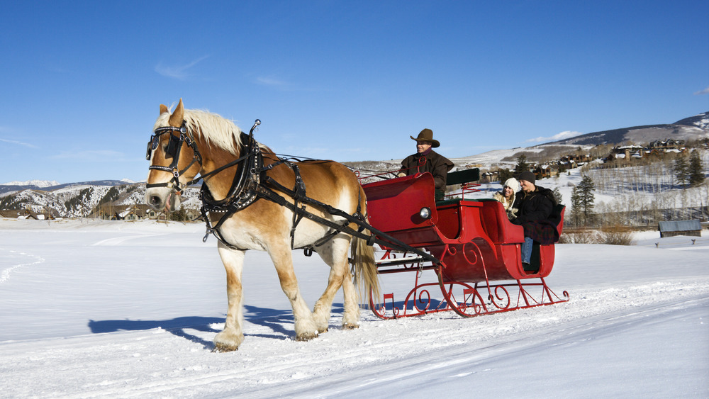 Couple on sleigh ride