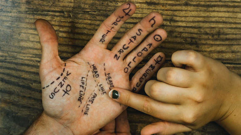 hand labeled in palmistry terms