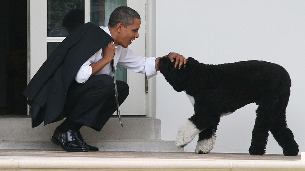 President Obama and Bo