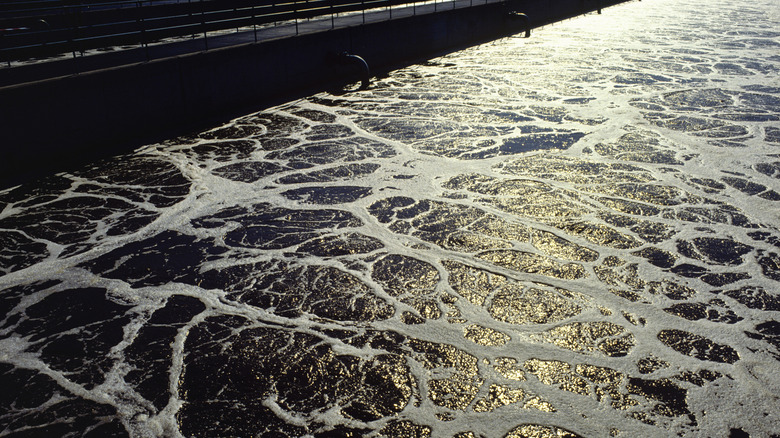 Activated sludge treatment