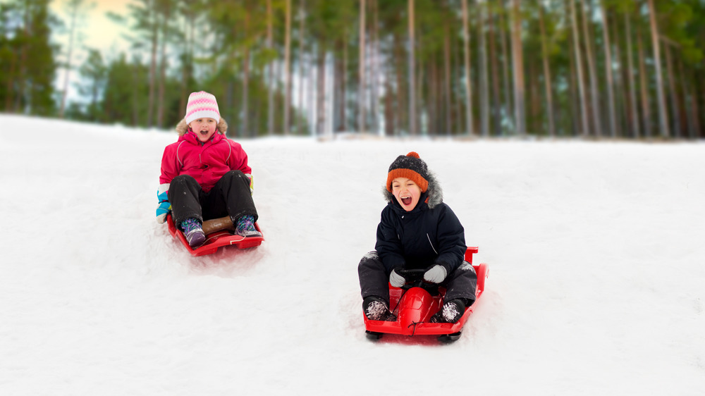 A photograph of two excited children sledding down a hill.