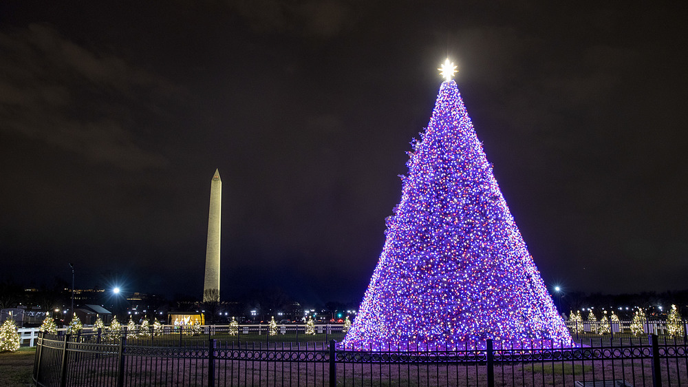 national christmas tree