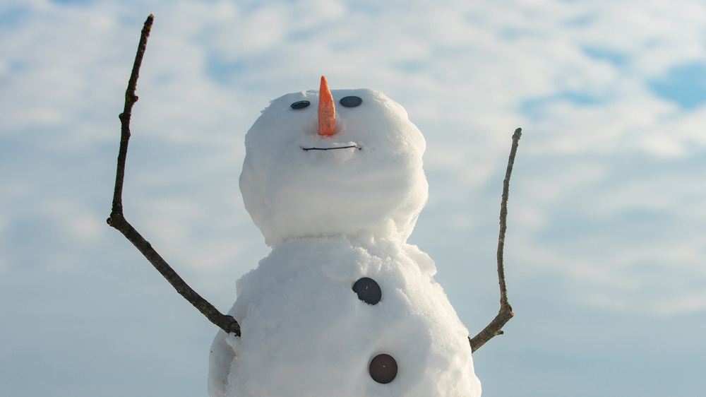 Do You Want To Build a Snowman? Physics Can Help, Science