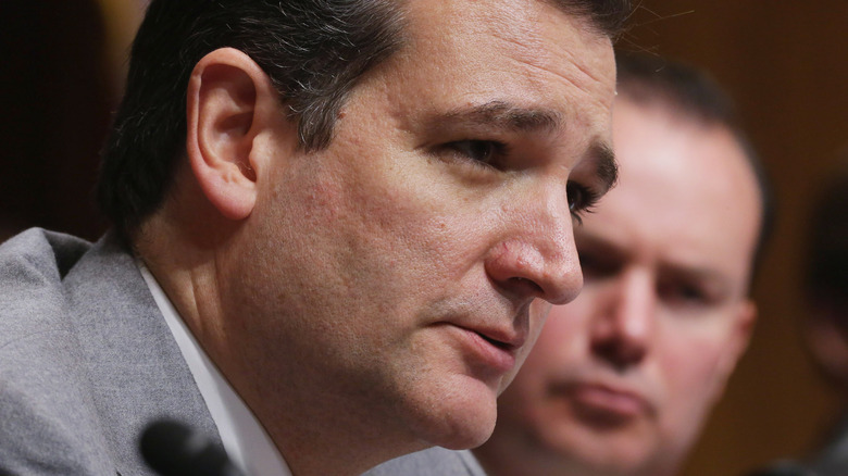 Ted Cruz in 2013