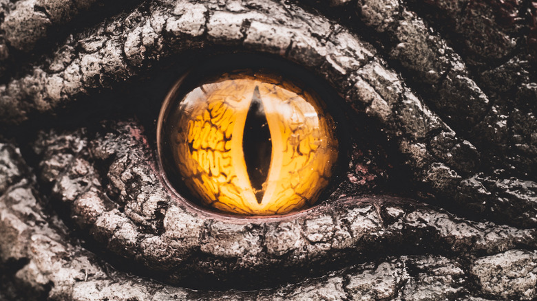 creepy yellow eye