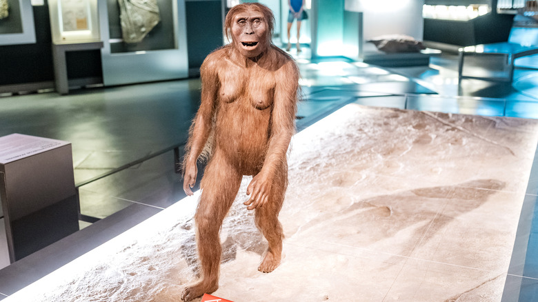Model of prehistoric woman