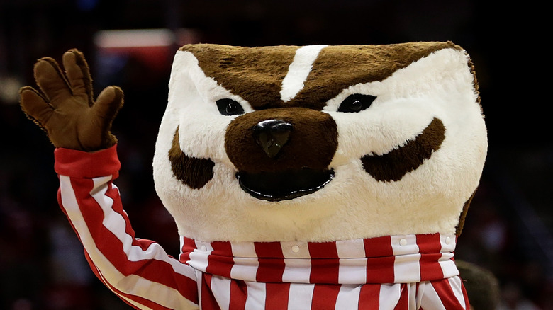 Badger Stuffed Animal  Wisconsin Historical Society Store