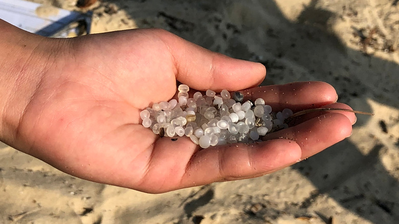 Nurdles on a beach