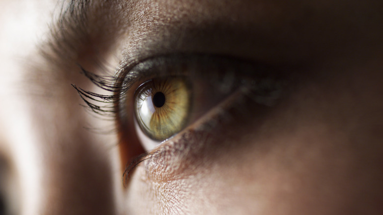 A woman's hazel eye