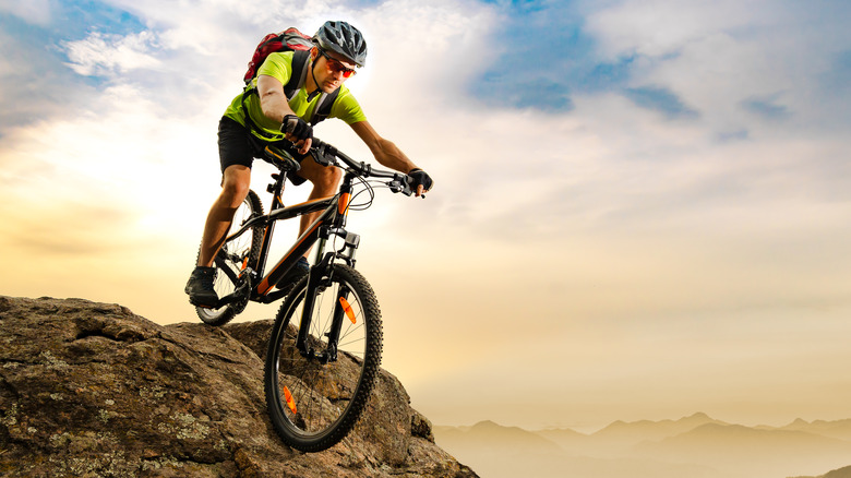 mountain biker