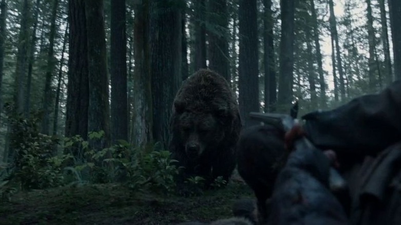 bear gun forest