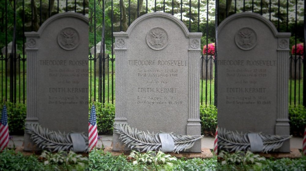 Theodore Roosevelt