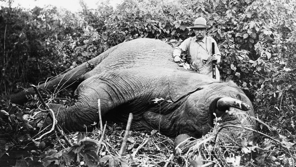 Theodore Roosevelt