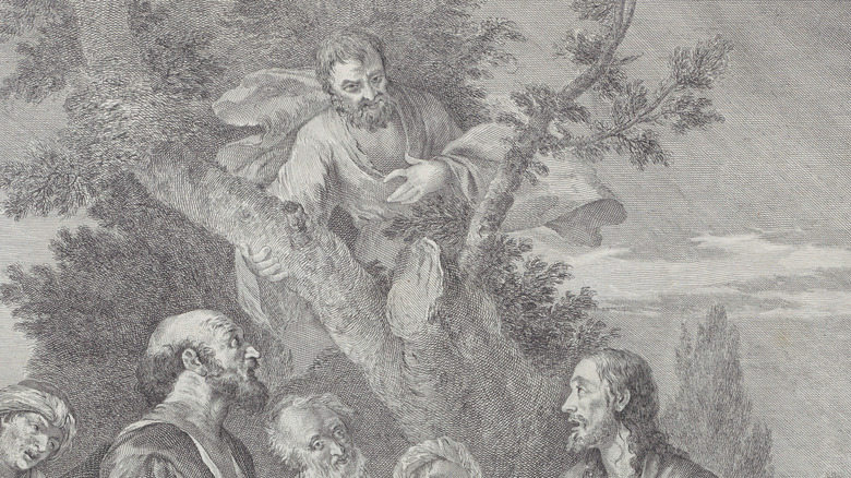 engraving of zacchaeus in a tree