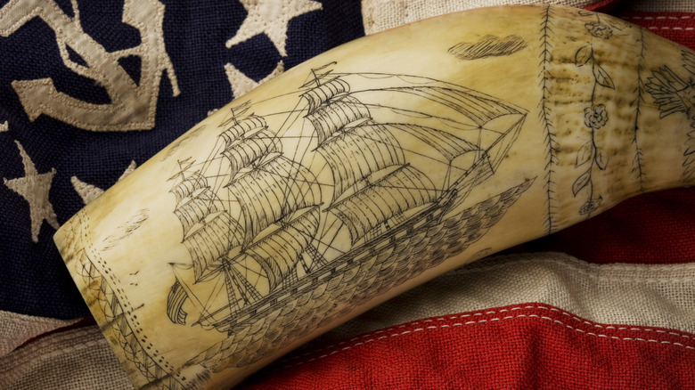 Engraved scrimshaw 
