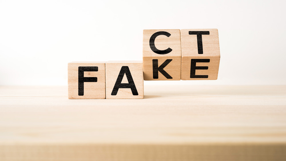 fact/fake wooden blocks on table