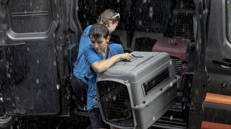 Rescuers rain loading animal carriers