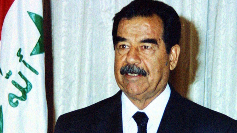 Pictures of Saddam Hussein in 2002, standing by the Iraq flag