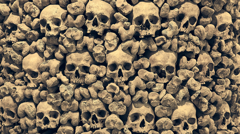 wall of skulls and bones