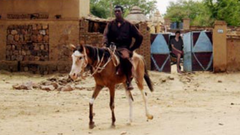 Janjaweed, Darfur