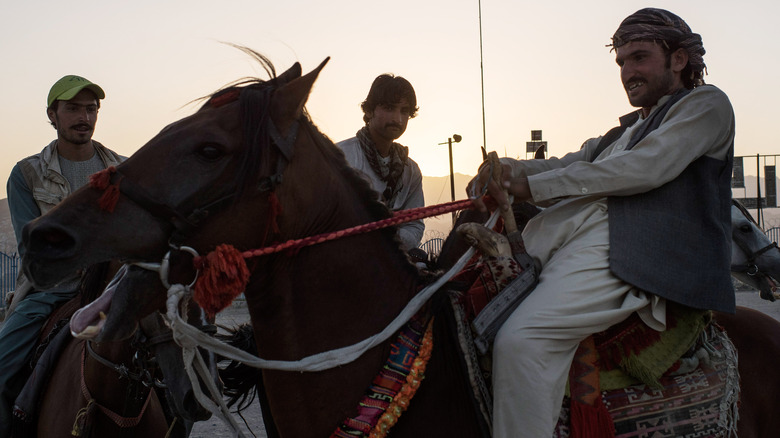 Afghanistan horse