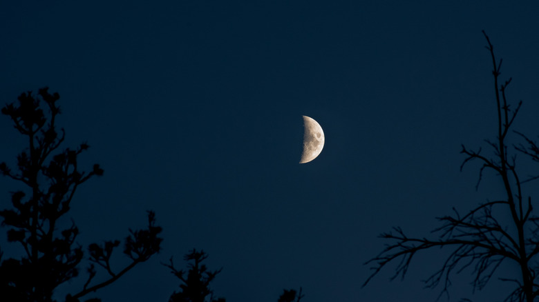 Moon at night