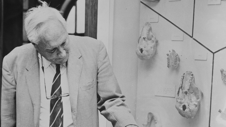 Louis Leakey pointing to fossils