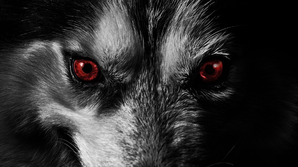 hellhound