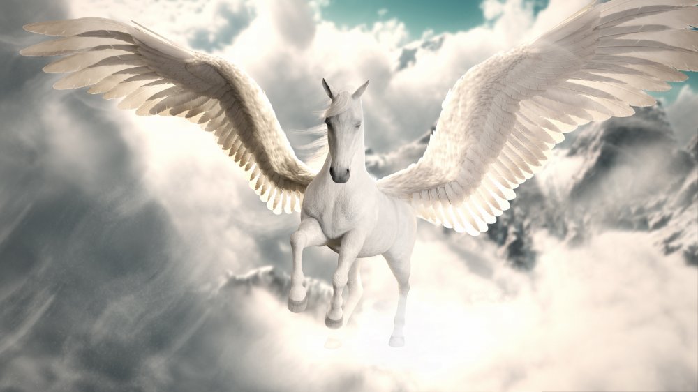 Pegasus