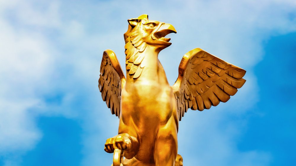 Golden griffin