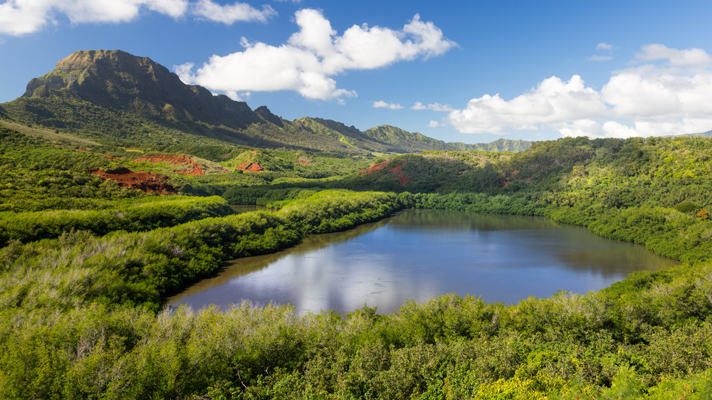 Hawaii's Alekoko Fish Pond